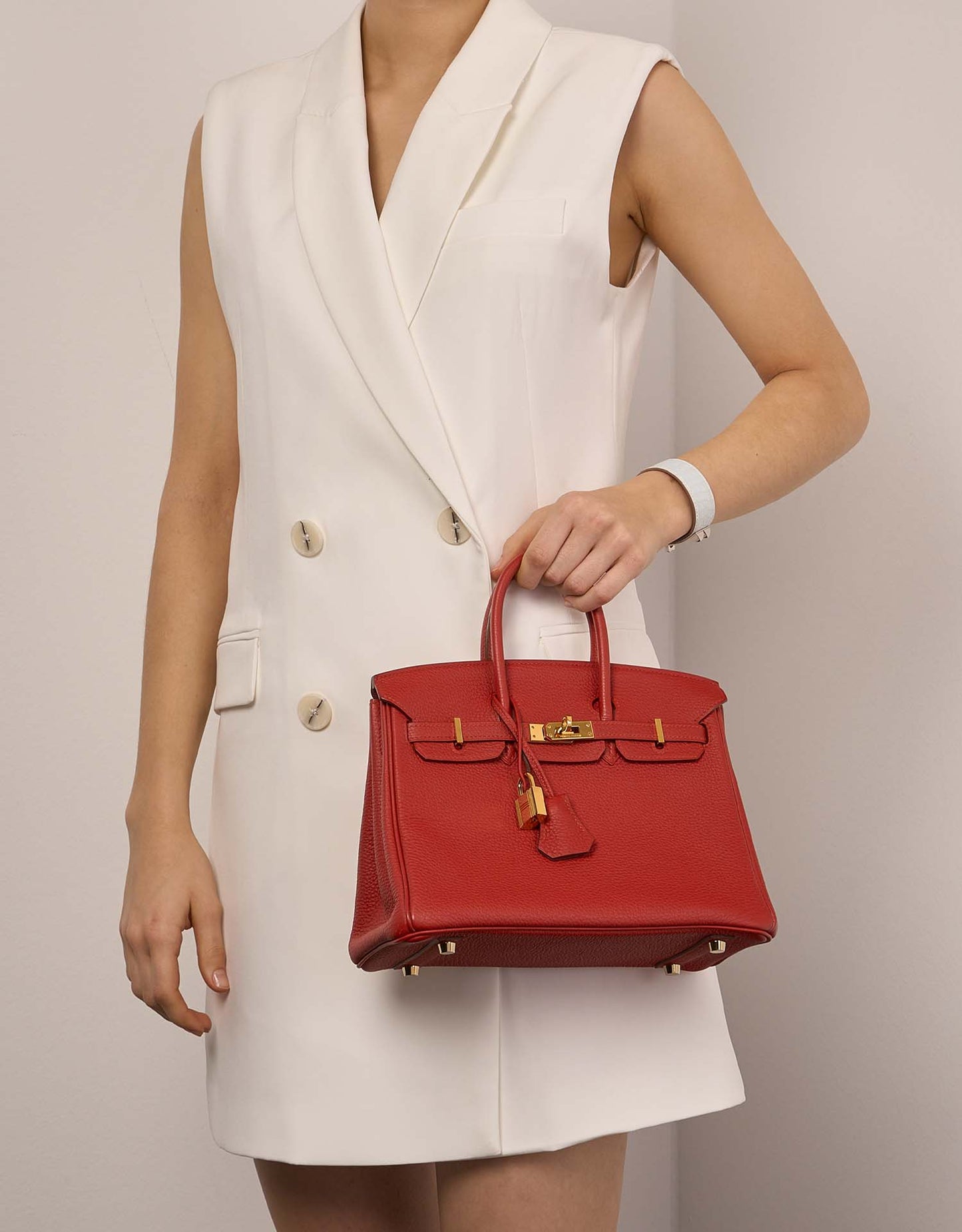 Hermès Birkin 25