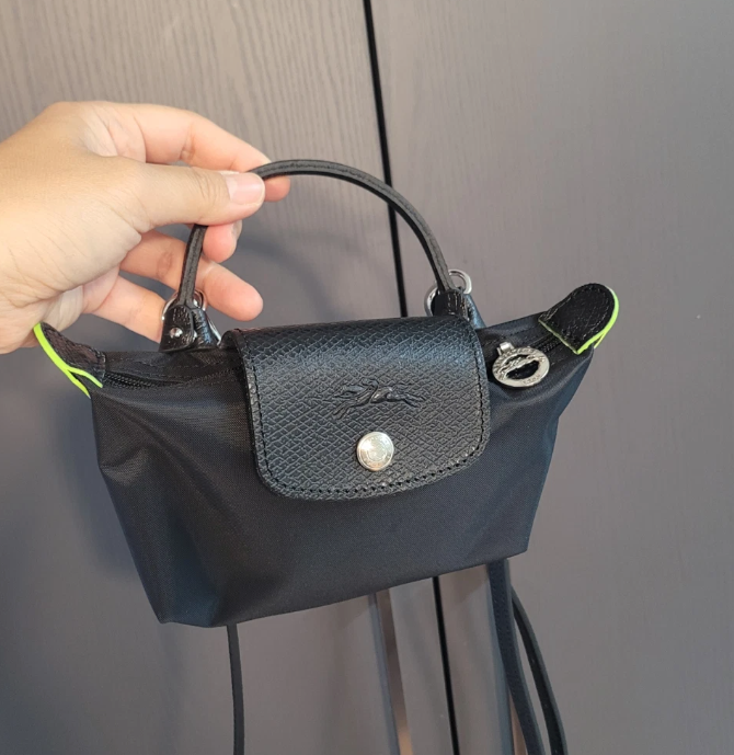 Longchamp Mini - Strap & Insert Included